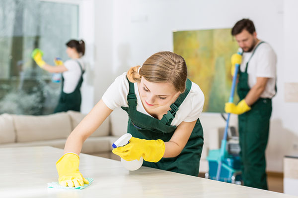 SWMS templates for commercial and domestic Cleaning are included in the JSEAsy EHS Software
