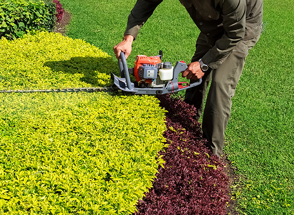 Ensure hedge trimming safety by wearing appropriate PPE, using sharp tools, and maintaining stable footing to prevent accidents to ensure a secure landscaping environment.