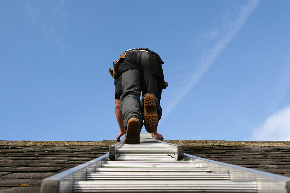Do not face away from the ladder when going up or down, or when working from it.