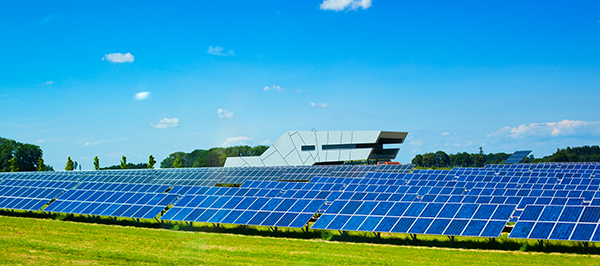 Solar farms harness sunlight to generate renewable electricity on a large scale.