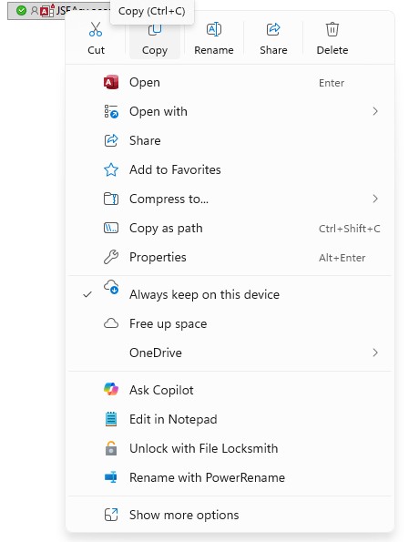 Copy the new JSEAsy premium Program File