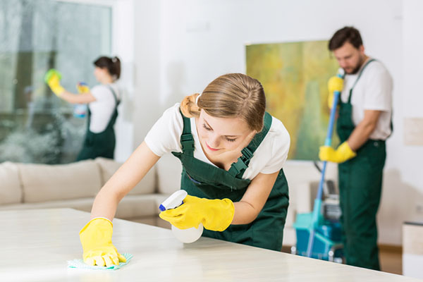 JHA templates for commercial and domestic Cleaning are included in the JSEAsy EHS Software