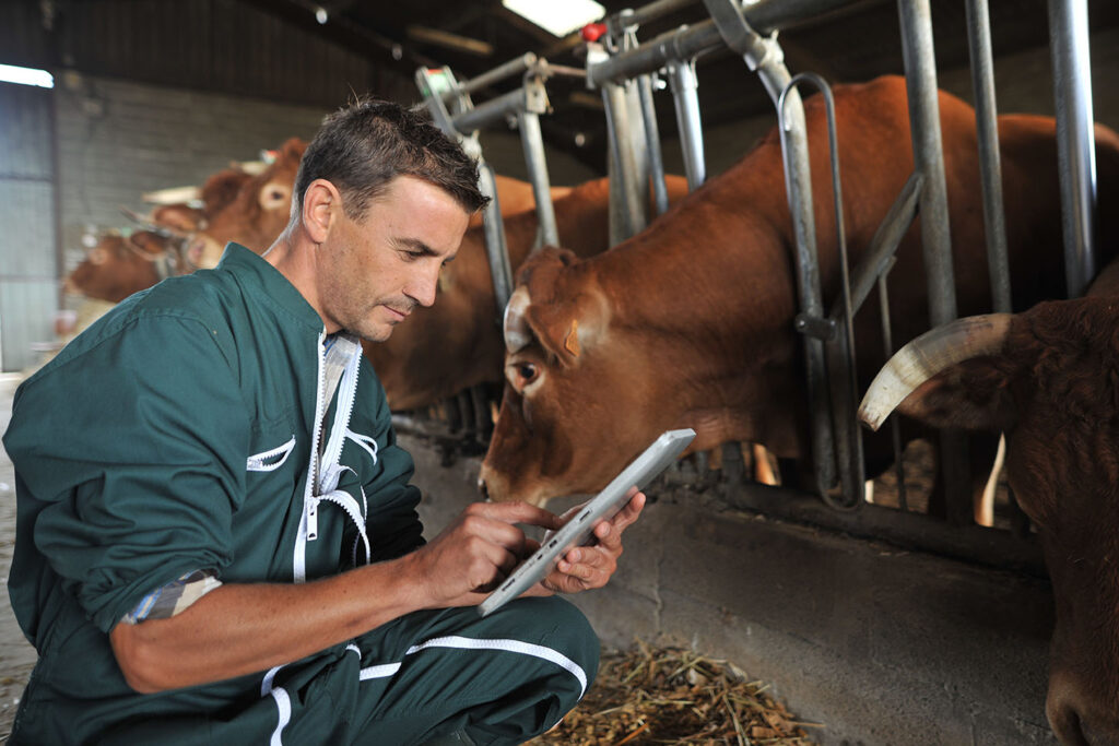 Create SWMS for Dairy Farming using the JSEAsy EHS Software.