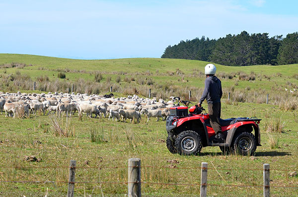 Quad bikes are not suitable for all terrains.